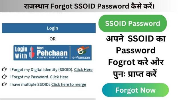 SSO Password Forgot